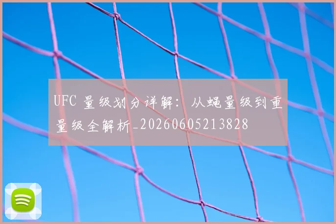 UFC 量级划分详解:从蝇量级到重量级全解析_20260605213828