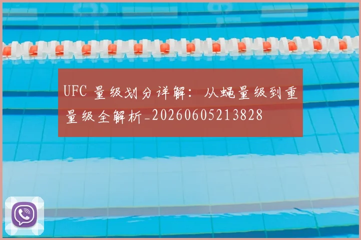 UFC 量级划分详解:从蝇量级到重量级全解析_20260605213828